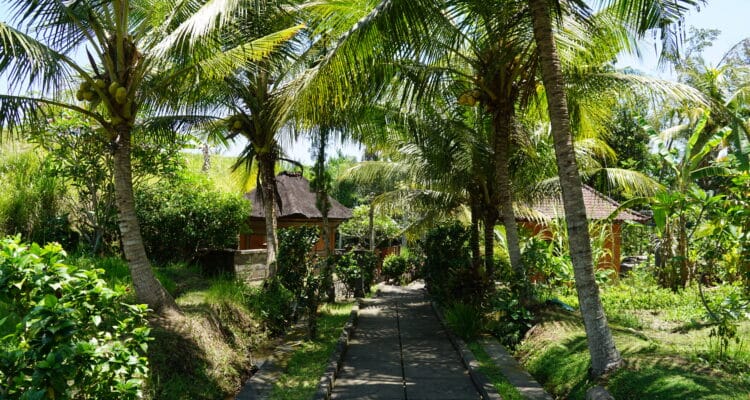 DSC08154