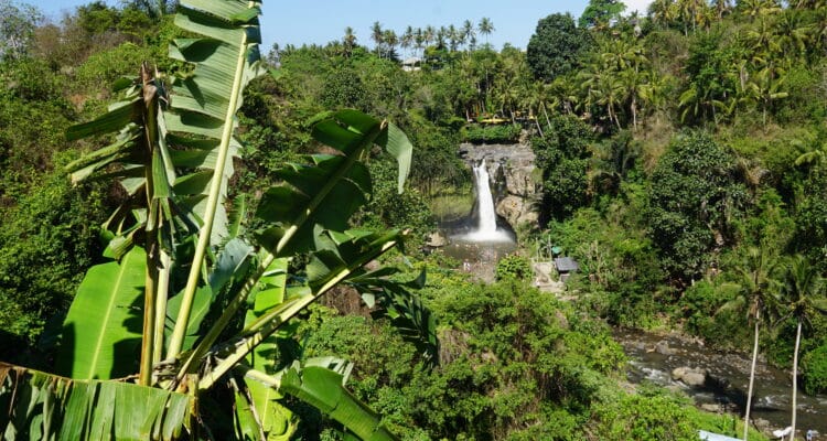 DSC08171